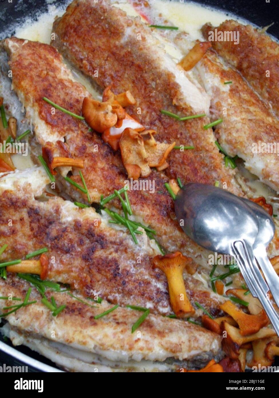 Pesce fresco pescato in padella fritto con salsa di crema alle chanterelle - Foto Stock