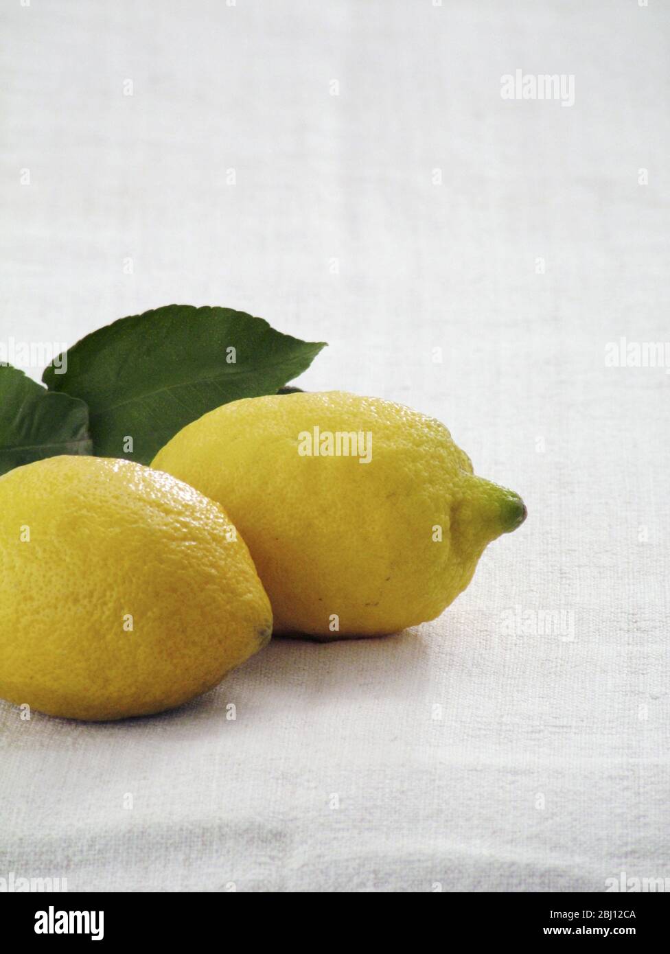 Due limoni interi su tela bianca con foglie di limone - Foto Stock