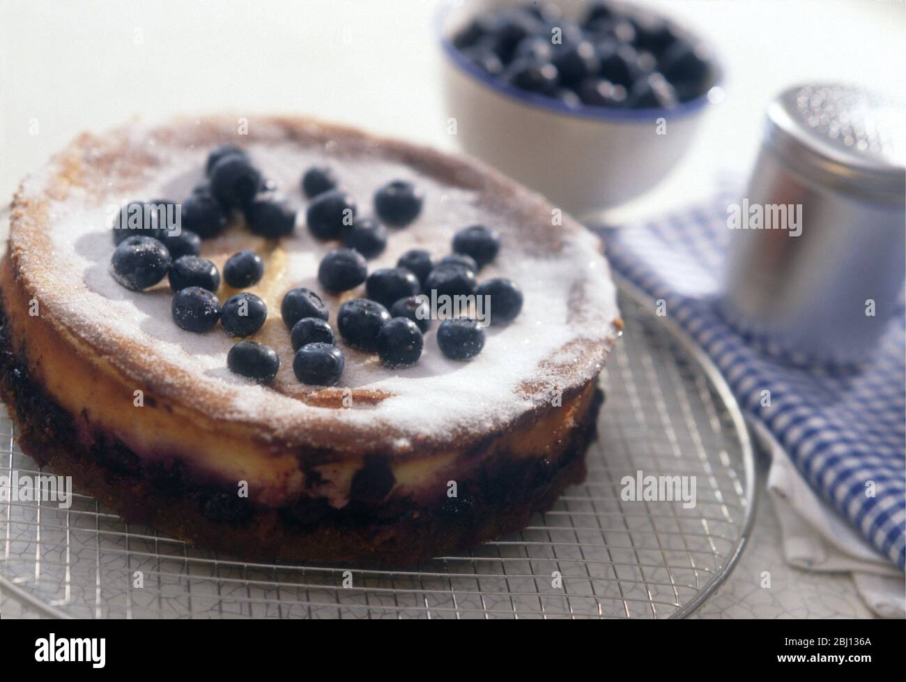 Cheesecake al mirtillo - Foto Stock