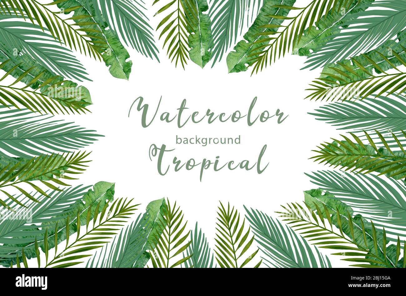 Striscione tropicale acquerello disegnato a mano con foglie della giungla. Esotica foglie illustrazioni telaio orizzontale, albero giungla, brasile trendy. Perfetto per il design Foto Stock