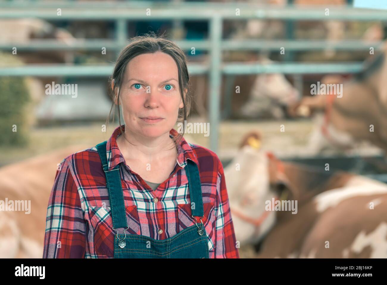 L'agricoltore femmina sulla mucca dairy farm. Ritratto di donna lavoratrice  agricola indossando plaid shirt e tute da bib in stalla Foto stock - Alamy