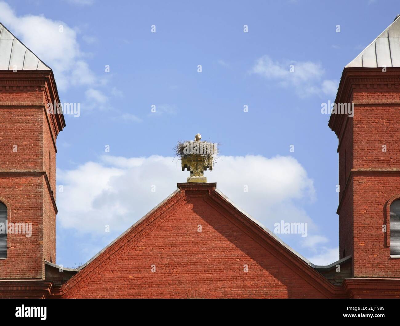 Nido di cicogna nella chiesa di Assunzione della Vergine Maria a Prazaroki. Regione di Vitebsk. Bielorussia Foto Stock