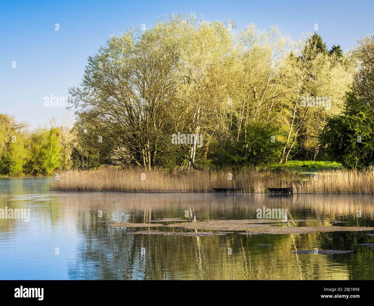 Una mattinata di primavera soleggiato a Coate Water a Swindon. Foto Stock