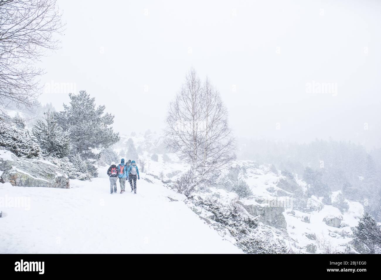 Camminare e nevicarsi Foto Stock