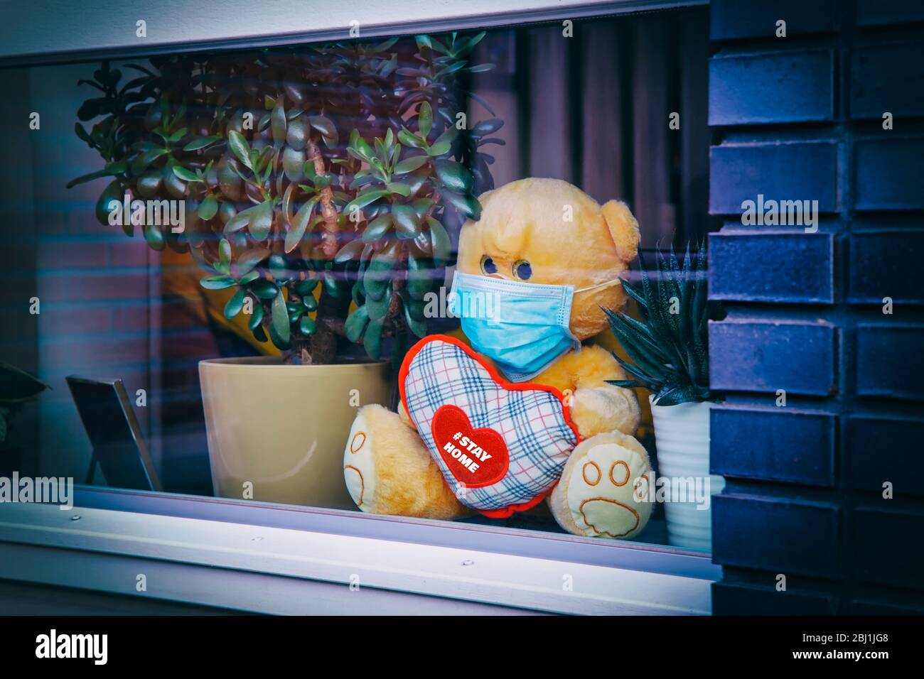 Rimanere a casa quarantena coronavirus prevenzione pandemica. Orsacchiotto carino con maschera medica che tiene il cuore e si siede sul davanzale accanto a pentole con hous Foto Stock