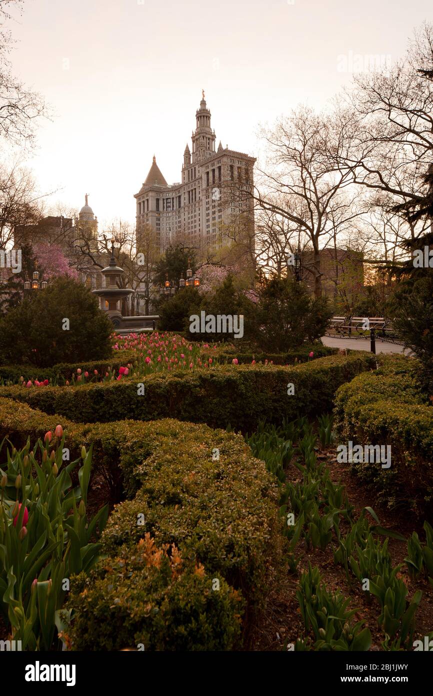 City Hall Park e Municipal Building, Manhattan, New York City, Stati Uniti Foto Stock