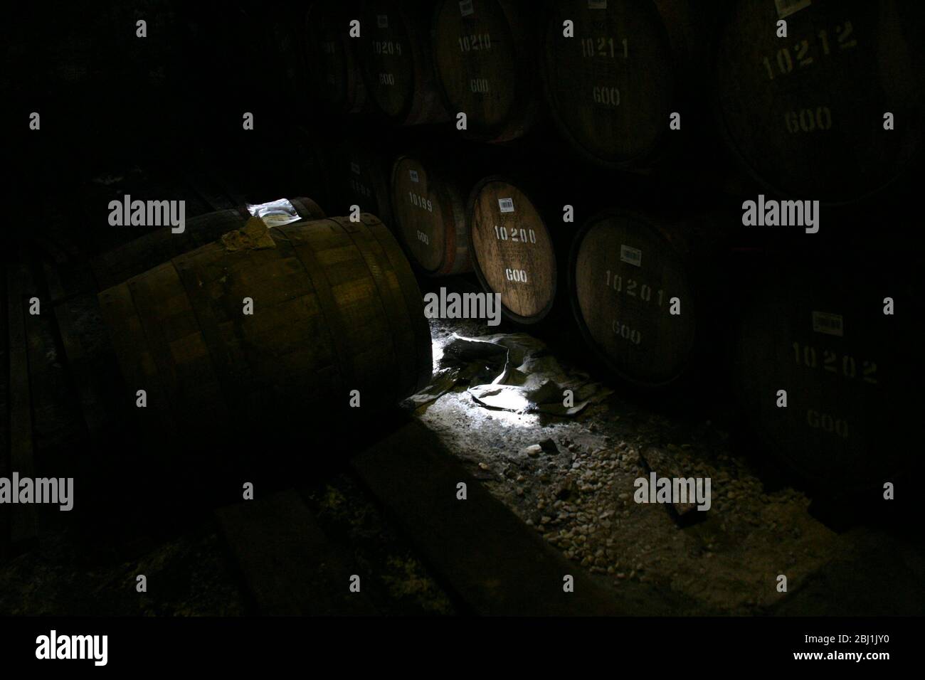 Affinamento in botte di whisky in un deposito scuro e umido. Foto Stock