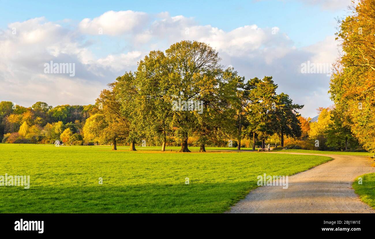 Parco forestale di Rosenthal nella città di Lipsia, Sassonia, Germania. Situato a nord del centro storico della città, Rosenthal fa parte dell'area protetta del L. Foto Stock