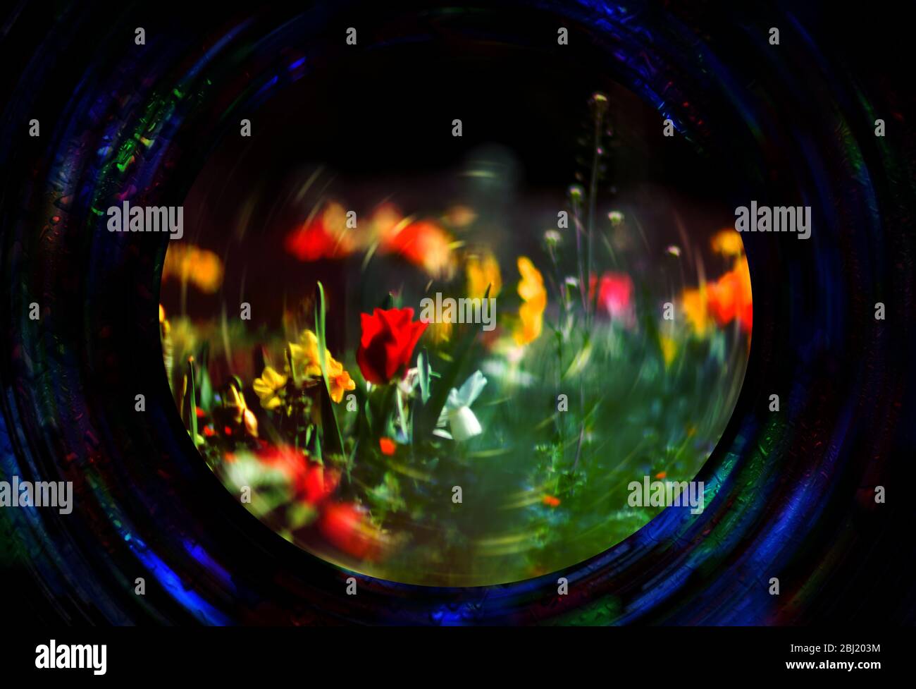 Concept flora : pianeta pazzo Foto Stock