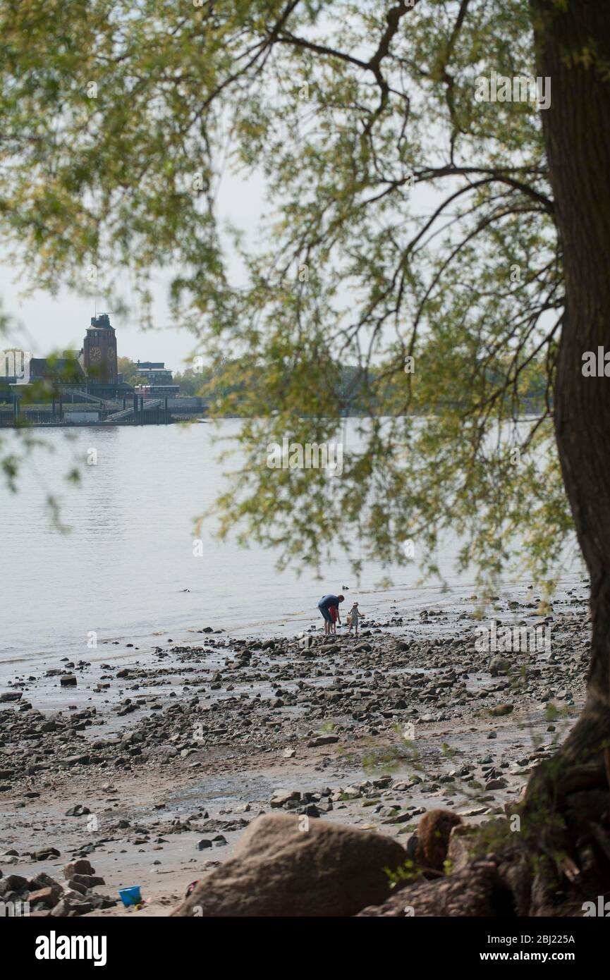 Elbe in Hamburg, Niedrigwasser , Flussbett trocknet aus, am 27. Aprile 2020 Foto Stock