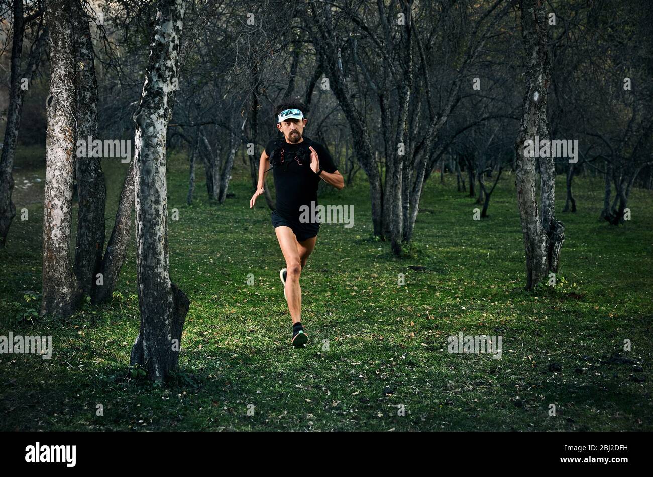 Uomo in forma con la barba che corre veloce sulla foresta Foto Stock