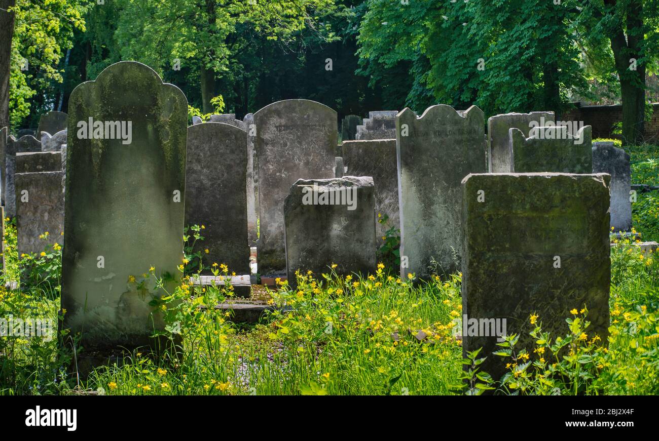 Lapidi dell'antico cimitero ebraico di Piotrkow Trybunalski, Mazovia Occidentale, Polonia Foto Stock