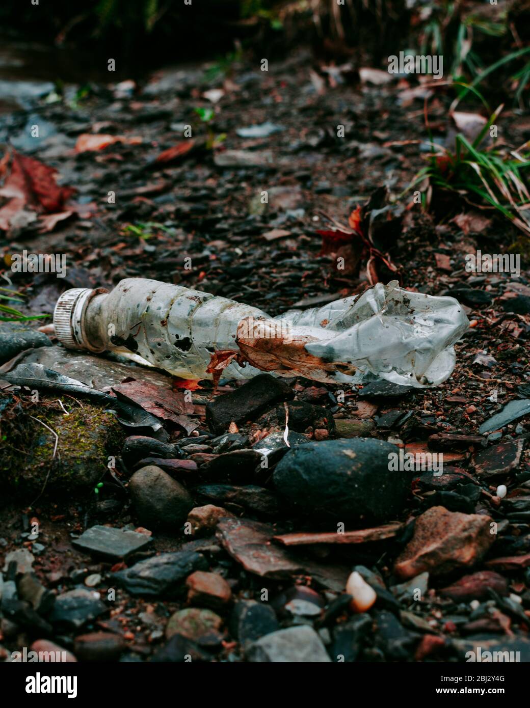 Inquinamento plastico in natura - immagini sono state prese per diffondere la consapevolezza della crisi ambientale nel mondo. Foto Stock