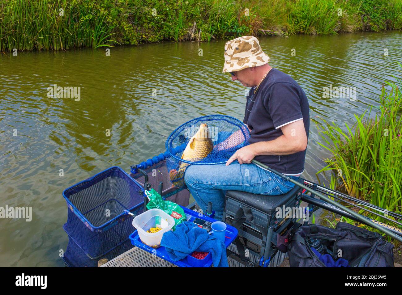 Un pescatore atterra una carpa fine. Foto Stock