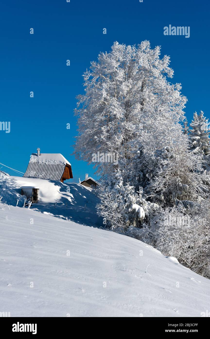 Una vista nella regione della Savoia di Francia. Foto Stock