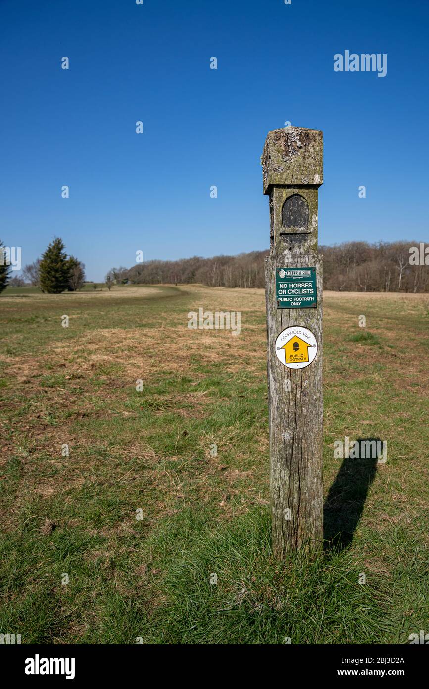 La strada del Cotswold è deserta vicino a Stinchcombe, Gloucestershire, Inghilterra, Regno Unito Foto Stock