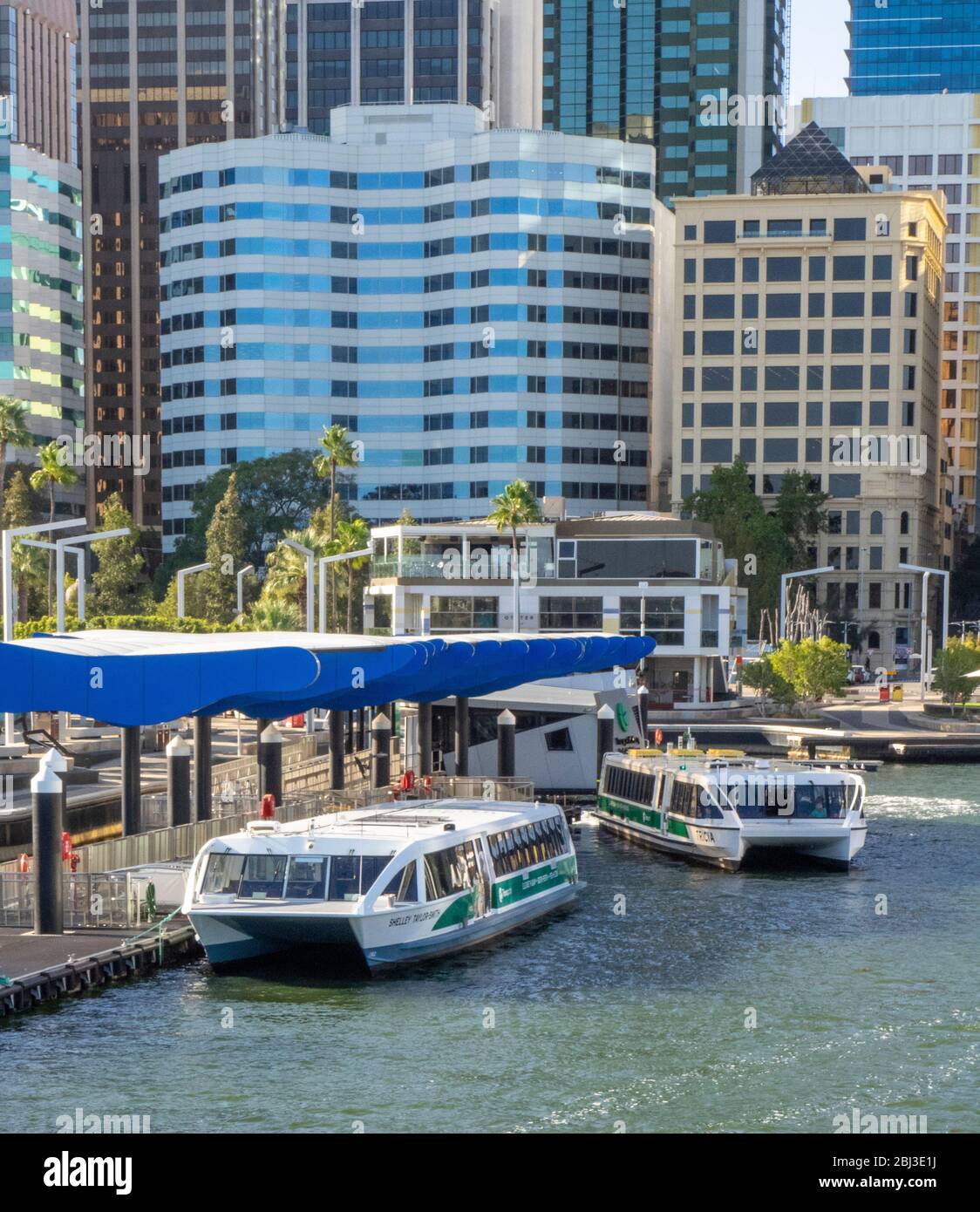 Catamarani Transpersh a Elizabeth Quay Perth Australia Occidentale. Foto Stock