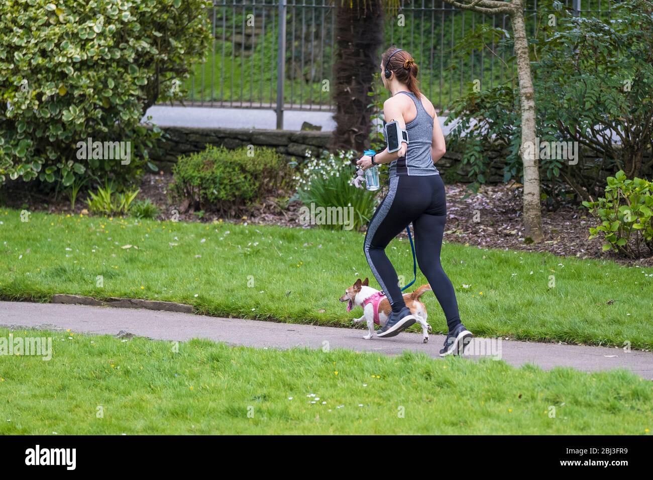 Una ragazza jogger che corre con il suo cane Jack Russell a Trenance Park a Newquay in Cornovaglia. Foto Stock