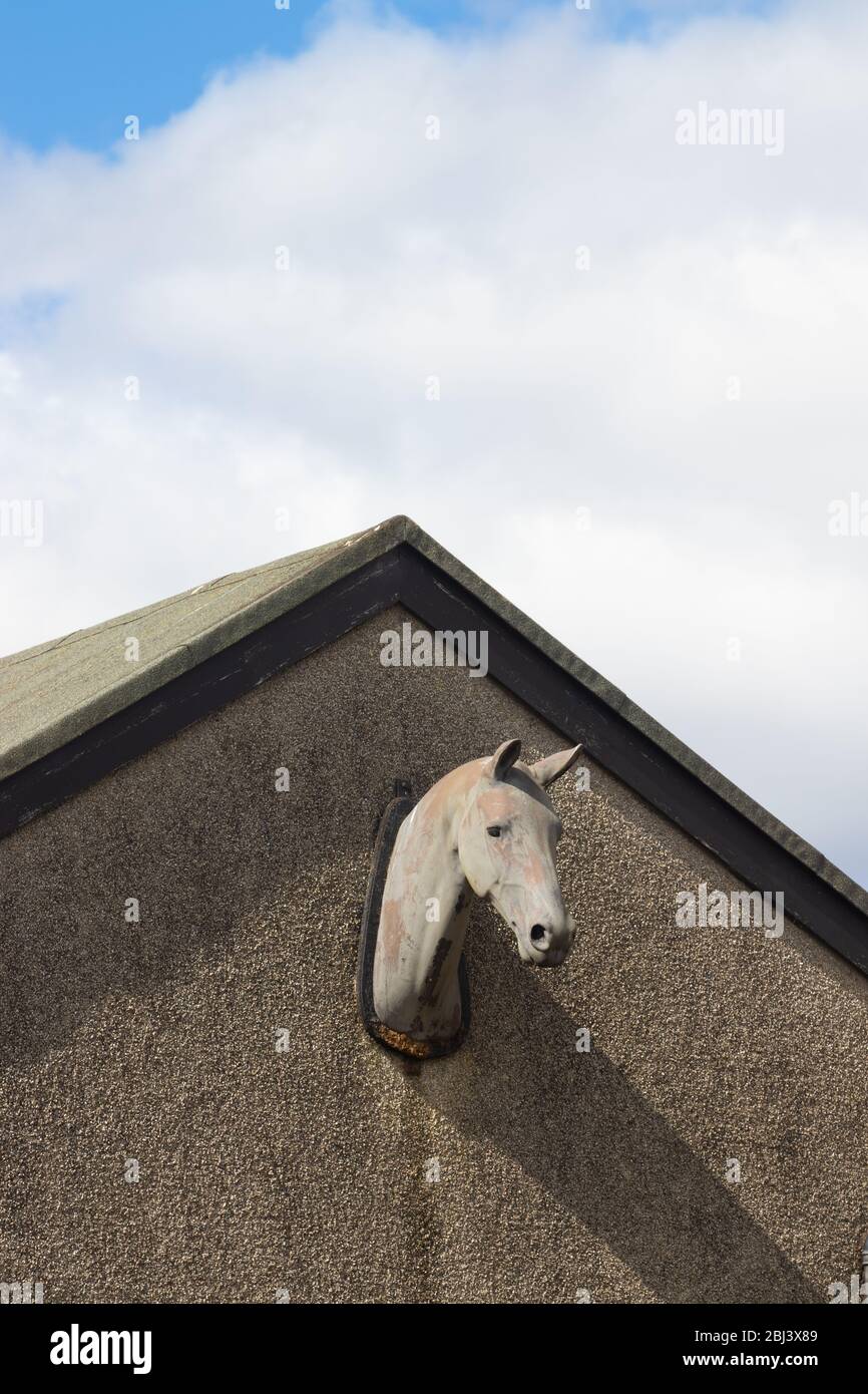 Un busto di cavalli si dirige su un edificio a Fife, Scozia. Foto Stock