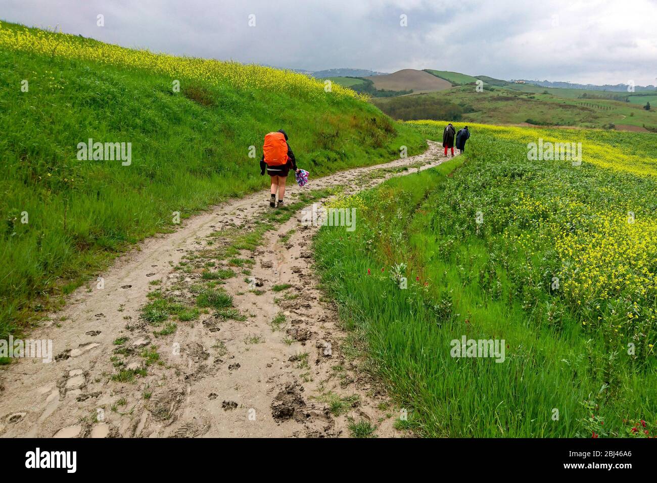 Pellegrini sul sentiero camminando nel fango in una giornata di pioggia.  Trekking con Backpacker solo sulla Via Francigena da Lucca a Siena.  Camminando tra la natura, hi Foto stock - Alamy