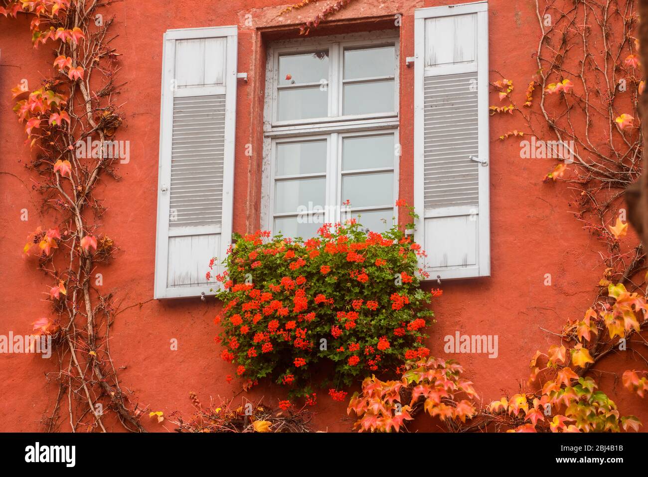 Centro di Miltenberg - edifici nel centro storico con fiori decorativi, Miltenberg, Baviera, Germania Foto Stock