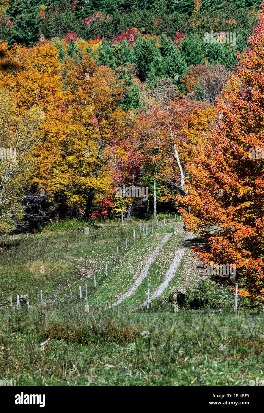 Strada di campagna non asfaltata a Stowe in Vermont. Foto Stock
