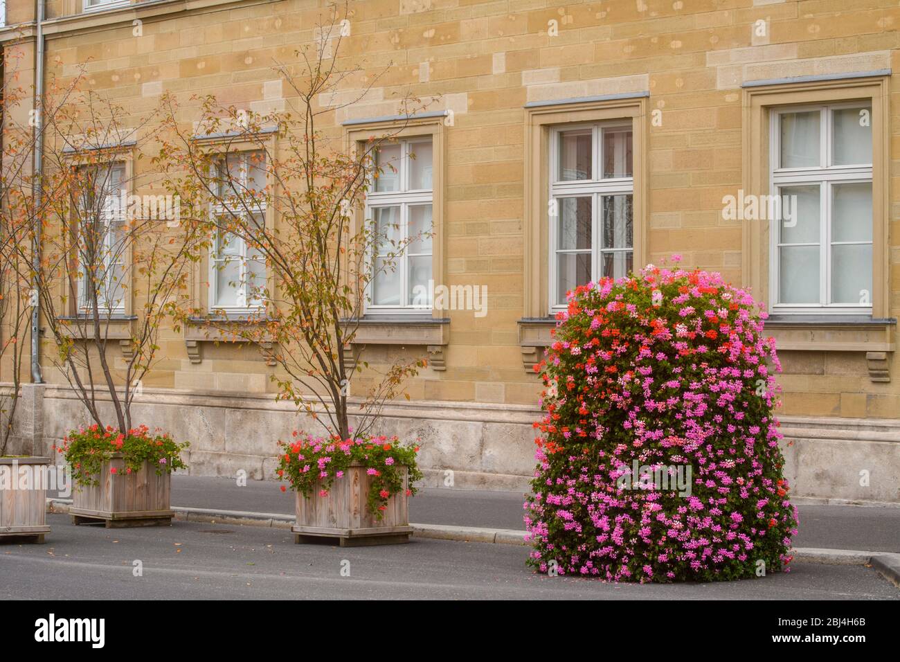 Edifici urbani nel centro di Wurzburg in autunno, Wurzburg, Baviera, Germania Foto Stock