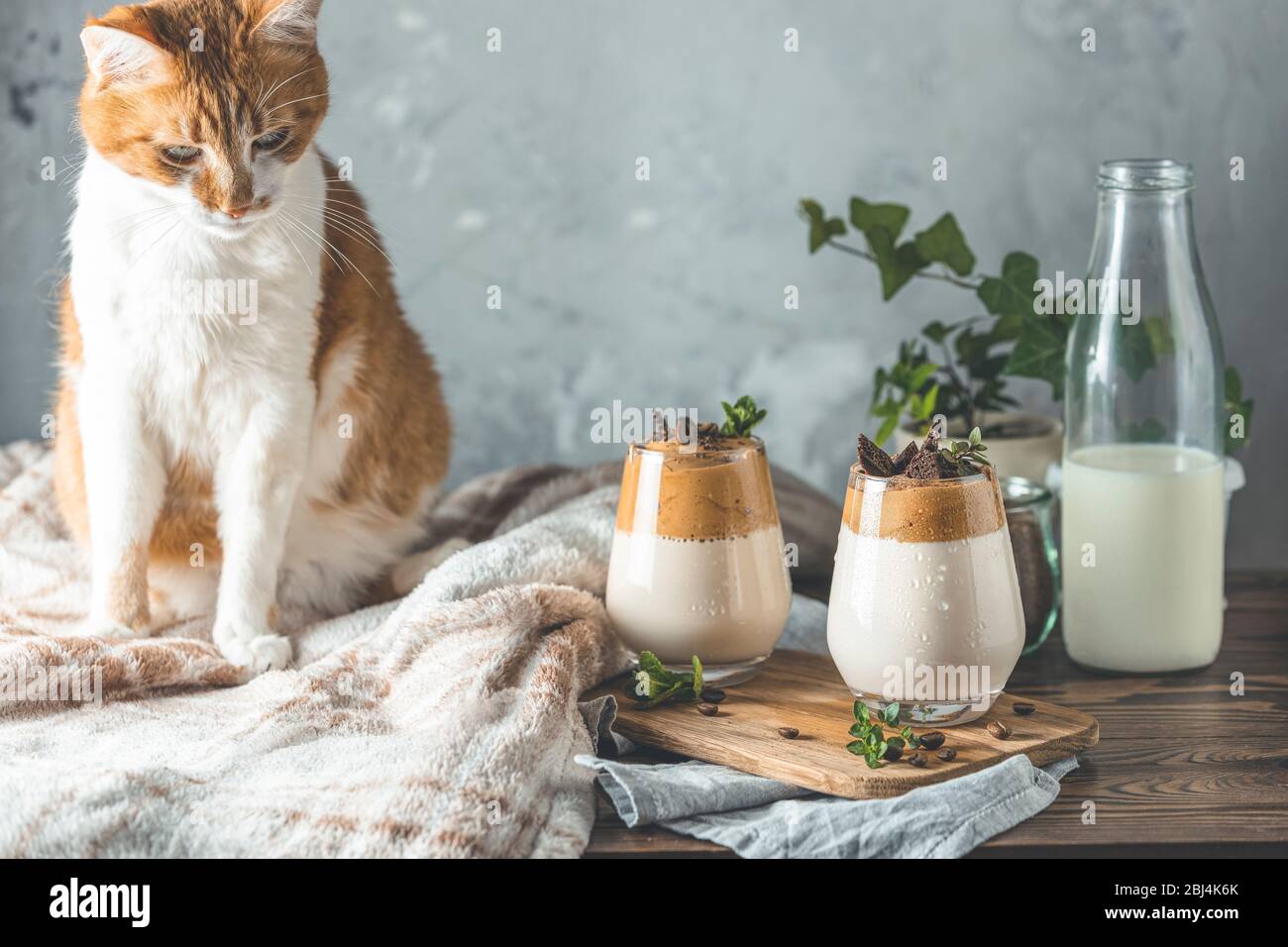 Gatto rosso bianco carino e due bicchieri di caffè Iced Dalgona su superficie di legno scuro. Caffè espresso in latte con bevanda coreana Trend. Accogliente concetto di casa. St Foto Stock
