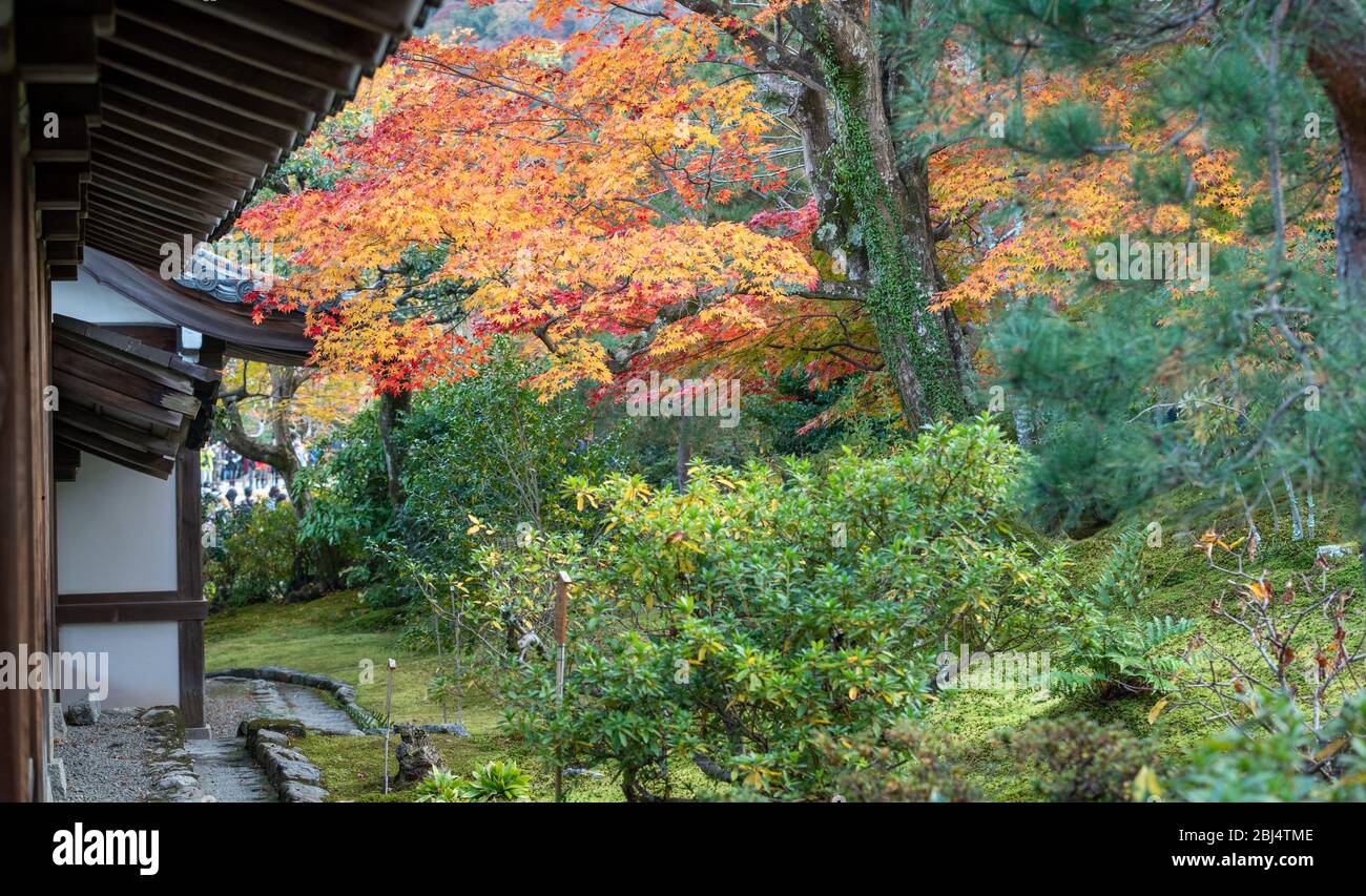 Tempio Tendriuji giardino con colori autunno pieno fogliame. Foto Stock