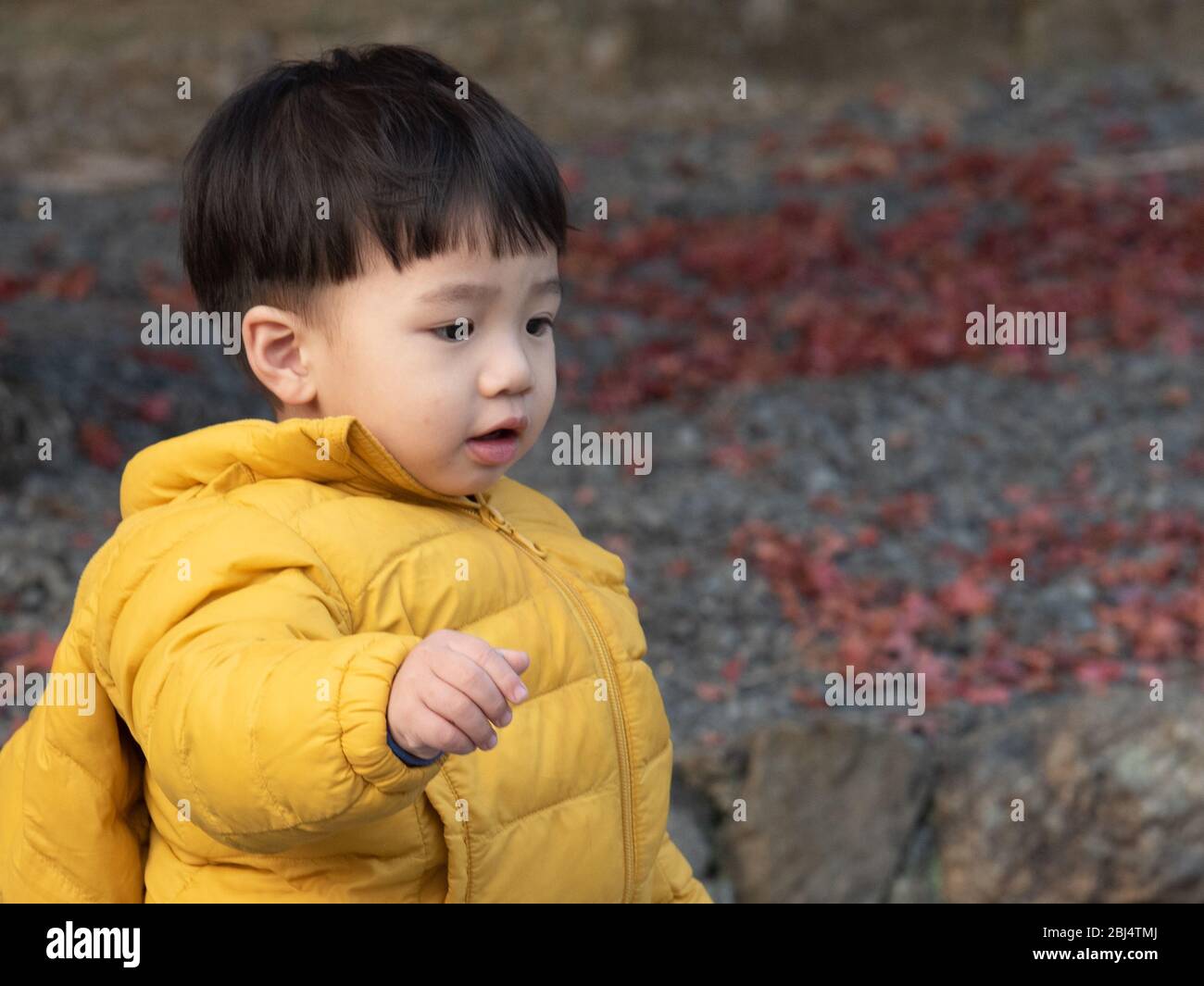Un bambino giapponese al giardino del tempio di Tendriuji Foto Stock