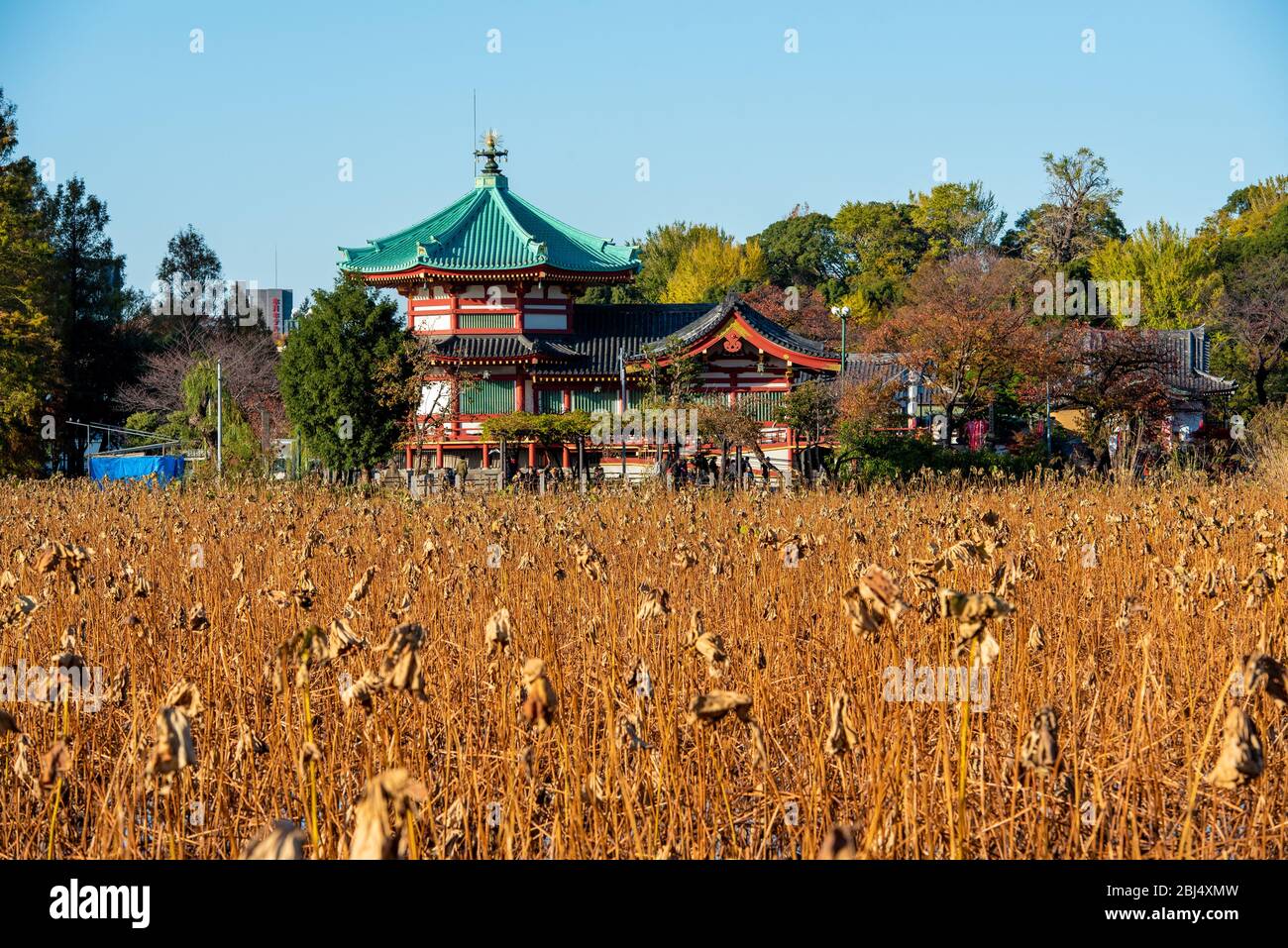 Shinobazu-no-ike Bentendo tempio nel parco Ueno a tokyo, come visto dal laghetto shinobazu Foto Stock