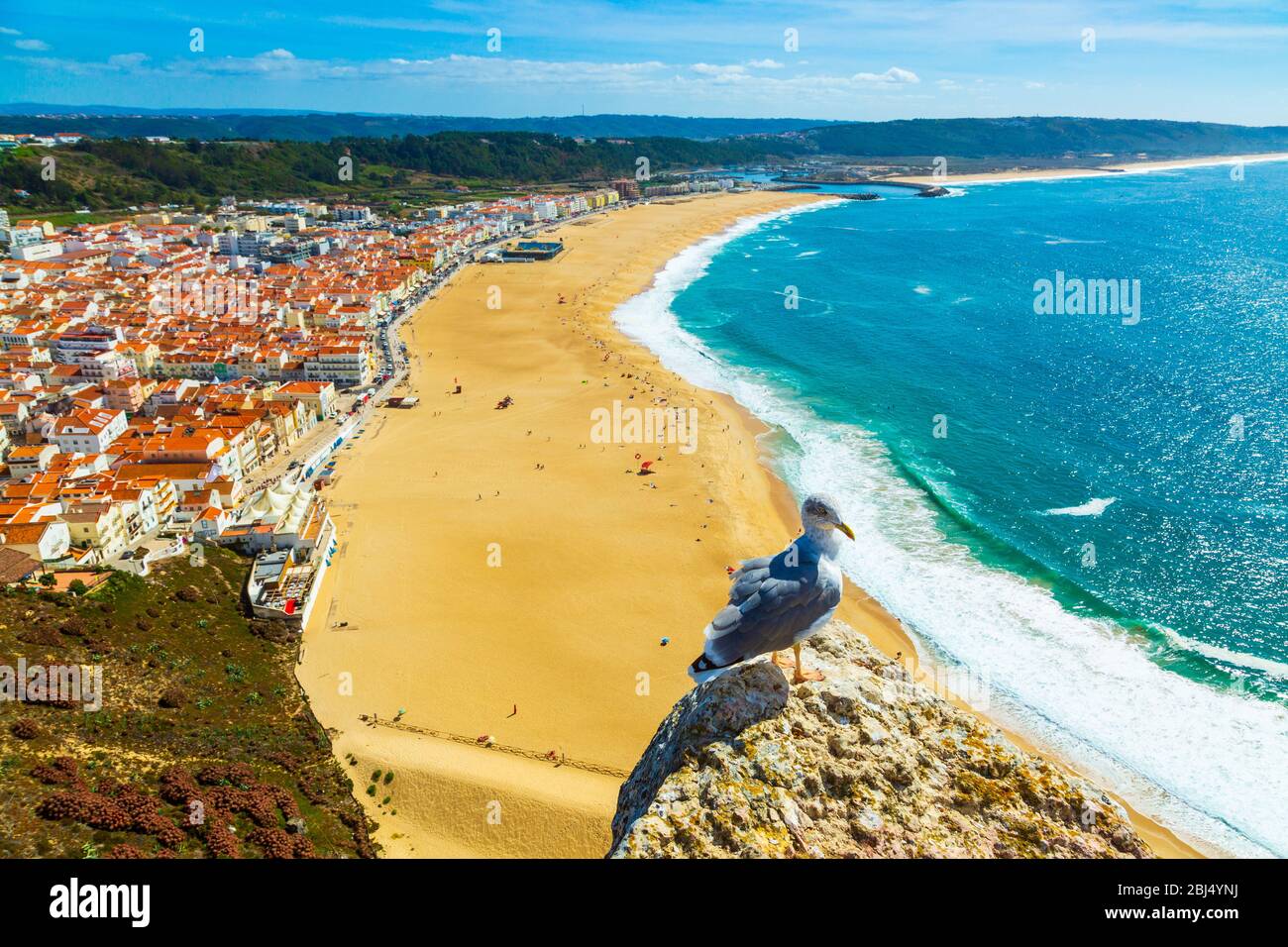 Nazare, Portogallo: Panorama della città di Nazare e dell'Oceano Atlantico con uccello gabbiano in primo piano, visto dalla collina di Nazare Sitio Foto Stock