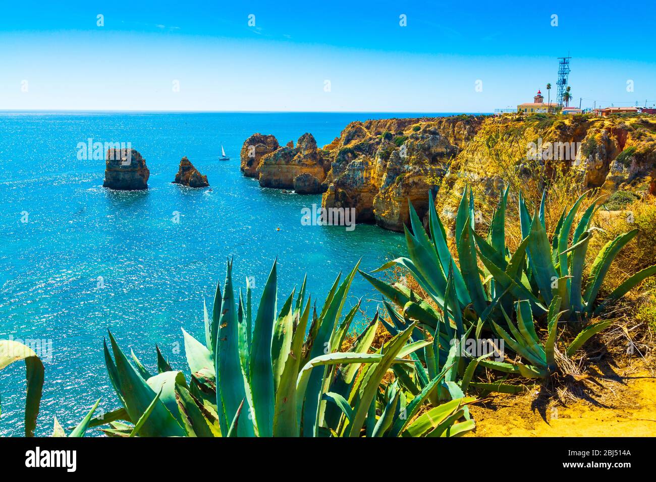 Incredibili scogliere sopra la costa dell'Algarve e piante succulente agave nella città di Lagos in Portogallo, Europa Foto Stock