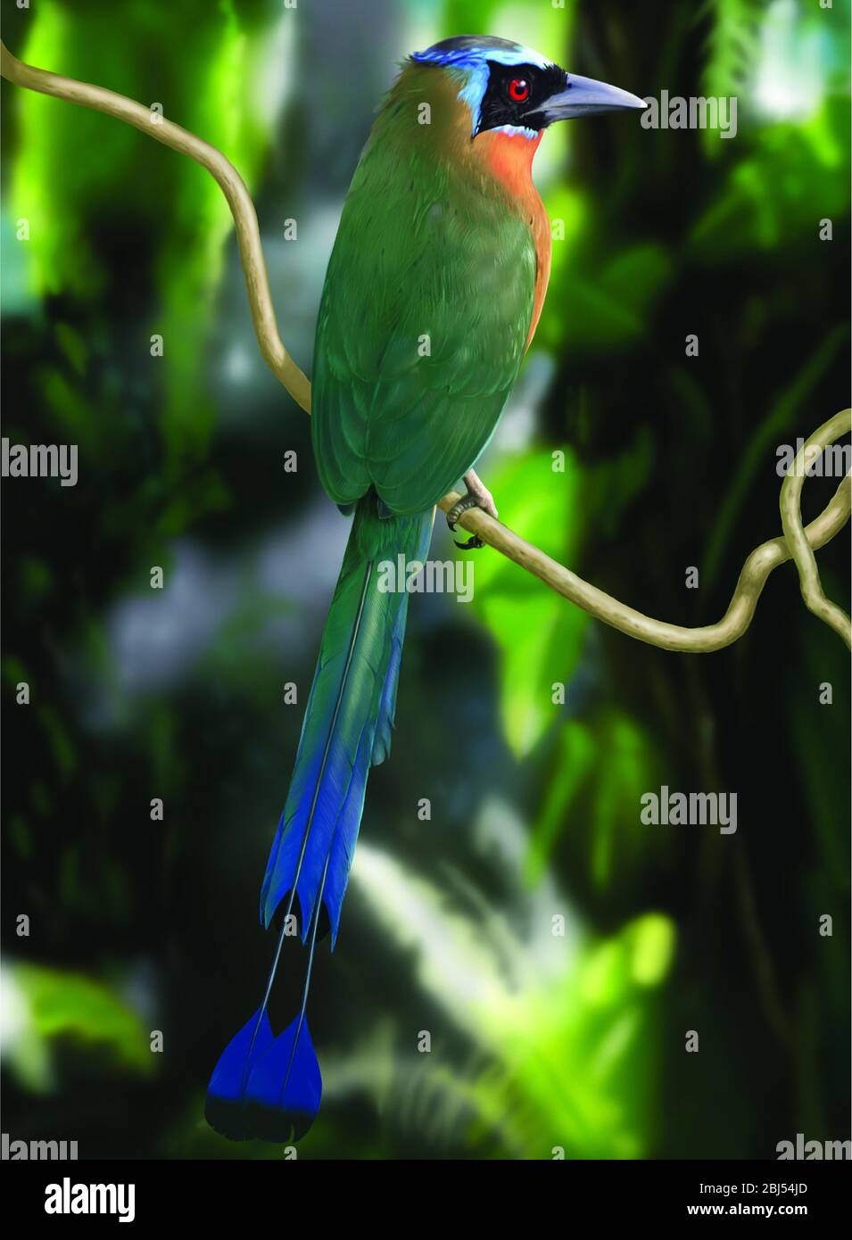 Pittura digitale Motmot incoronata blu. Il Momota (Momotus Momota), coronato da una corona blu, è un uccello vicino alla passerina, ricco di boschi e boschi. Foto Stock