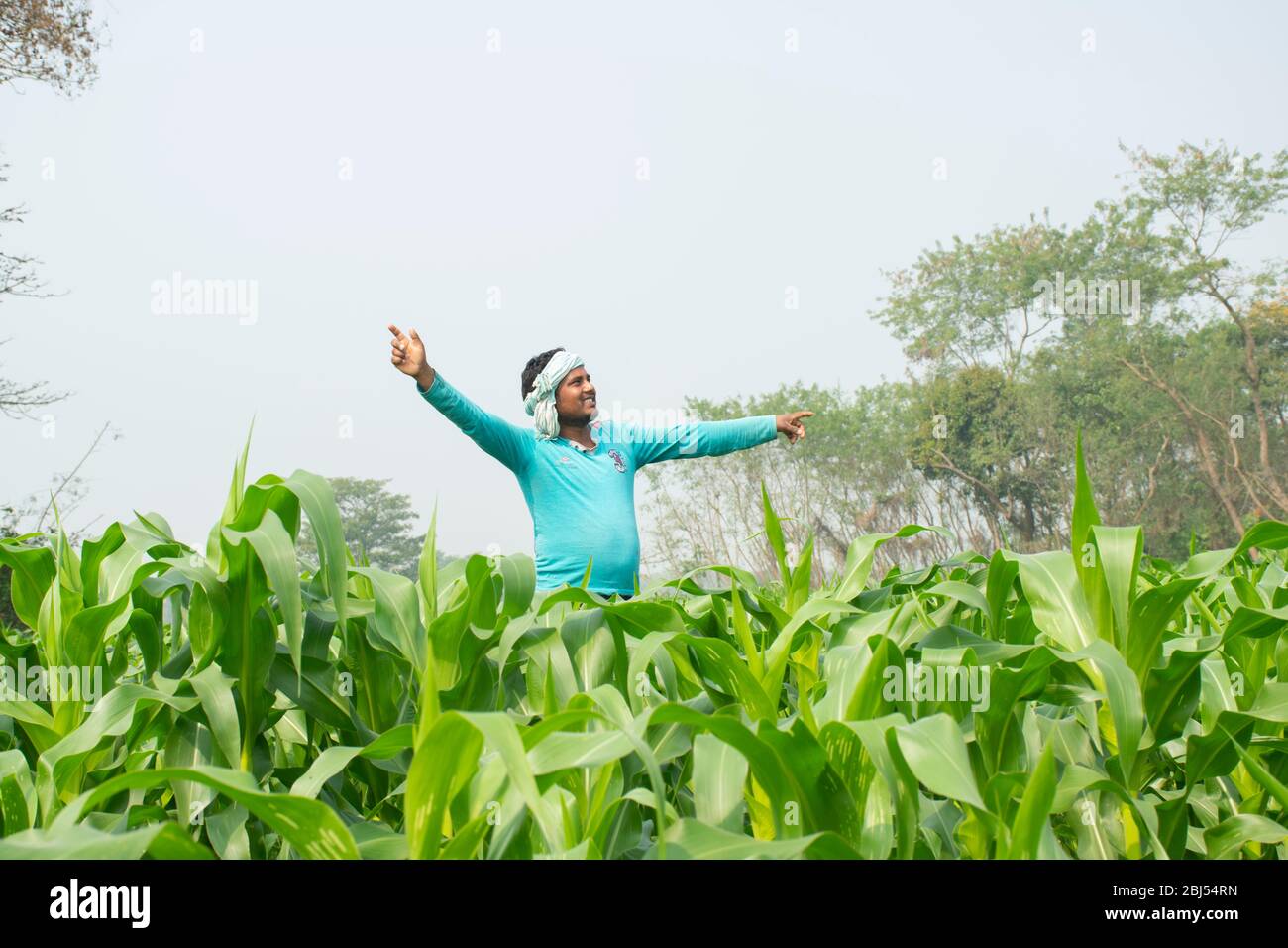 Coltivatore indiano che lavora, Bihar, India Foto Stock