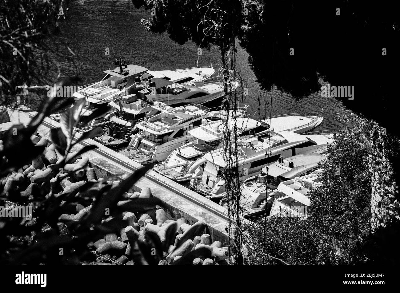 Porto di Monte Carlo, Monaco Foto Stock