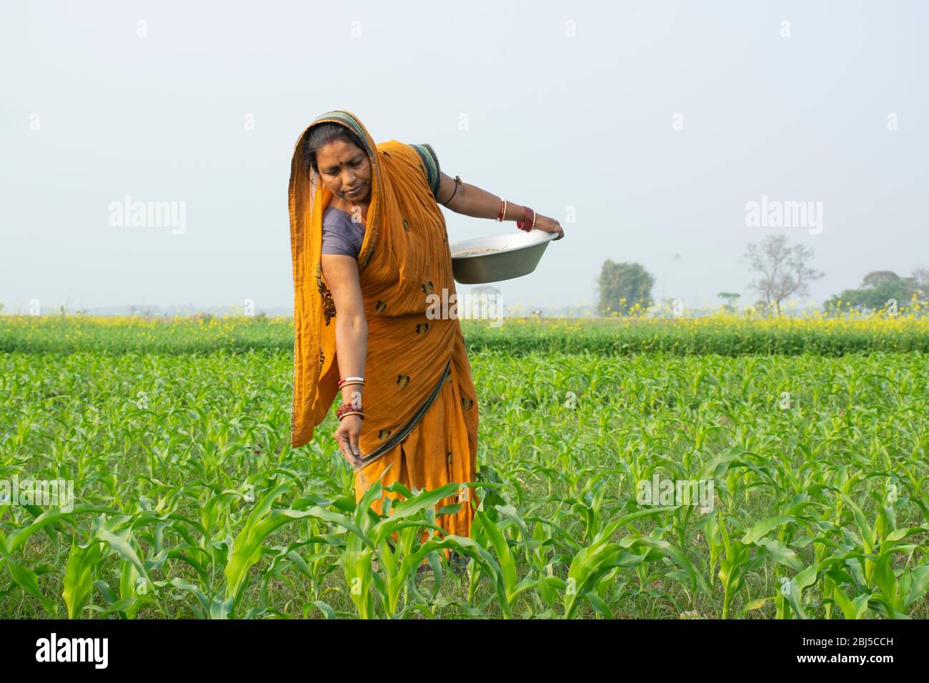 contadino indiano di donna che lavora in campo agricolo Foto Stock