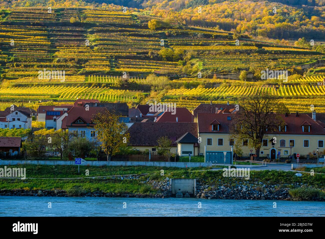 Autunno nella valle di Wachau- edifici e vigneti nei pressi del Danubio, della valle di Wachau, Weißenkirchen, della bassa Austria, Austria Foto Stock