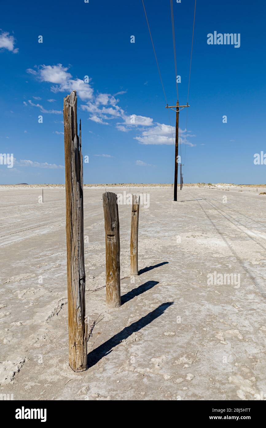 Linea telegrafica attraverso la regione del deserto, New Mexico, USA Foto Stock