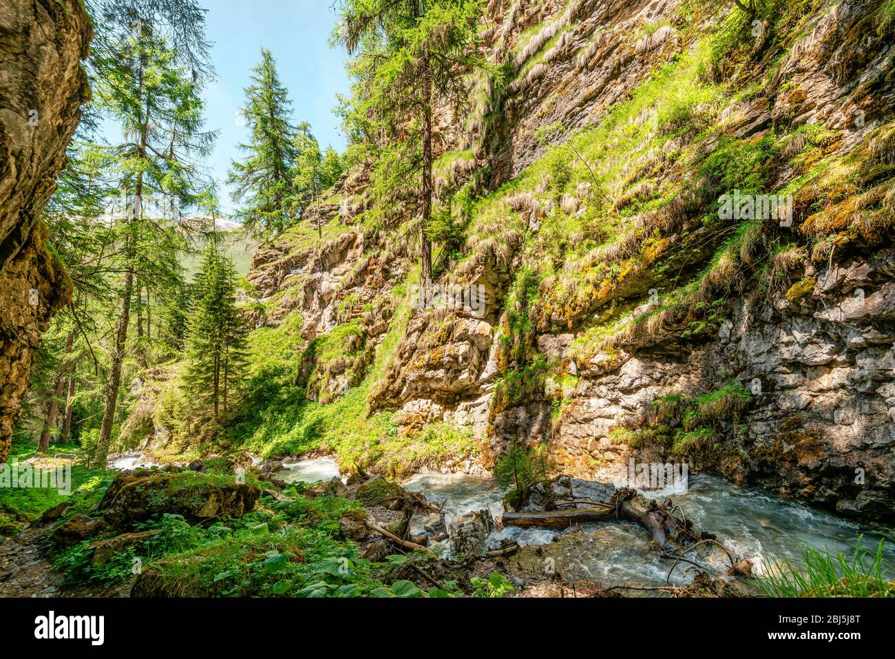 Paesaggio estivo in Val d'Arpiglia vicino a Zuoz, Engadina, Grigioni, Svizzera Foto Stock