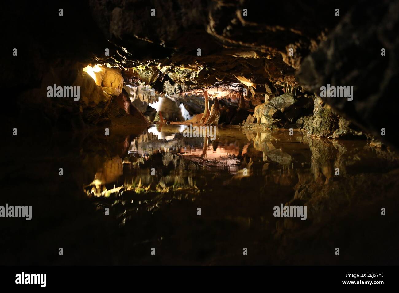 Cheddar Gorge è una gola calcarea nelle colline Mendip , vicino al villaggio di Cheddar , Somerset , Inghilterra . la gola è il sito delle grotte Cheddar show , dove la più antica scheletro umano completo della Gran Bretagna , Cheddar Man stimato essere più di 9000 anni , è stato trovato nel 1903 Foto Stock