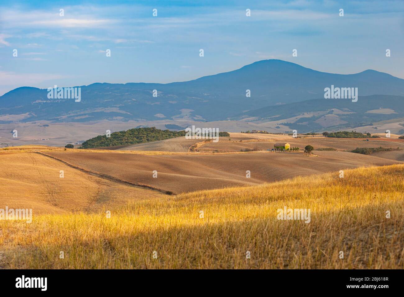 Vista panoramica sulla Val d'Orcia e sulla campagna toscana vicino a San Quirico d'Orcia, Toscana, Italia Foto Stock