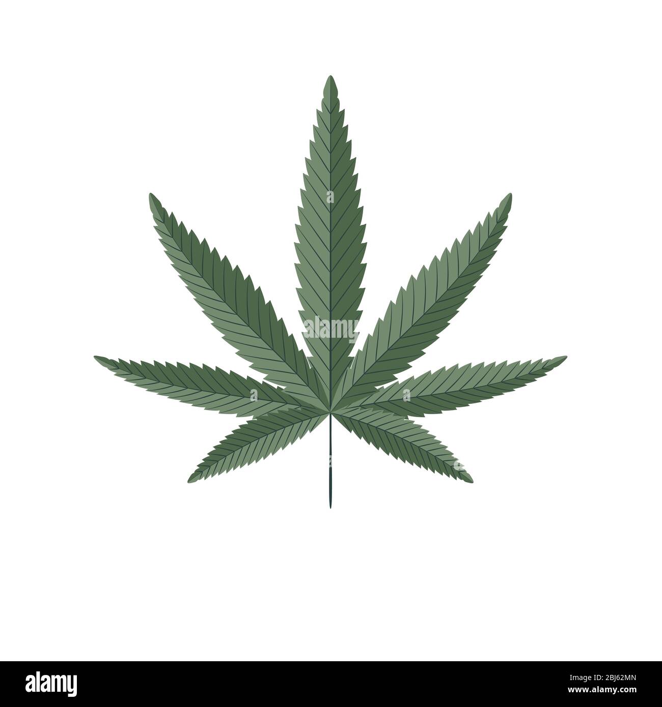 Foglia verde di cannabis isolata su bianco. Illustrazione vettoriale della pianta della canapa. Illustrazione Vettoriale