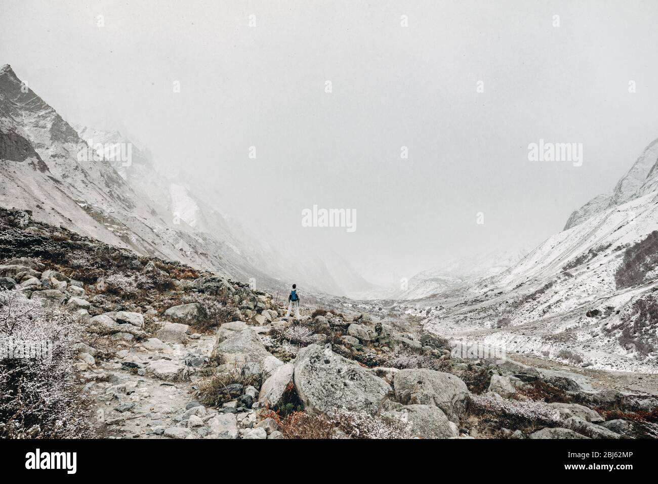 Valle del fiume Bhagiratri a Fall Seson, Himalaya indiana Foto Stock