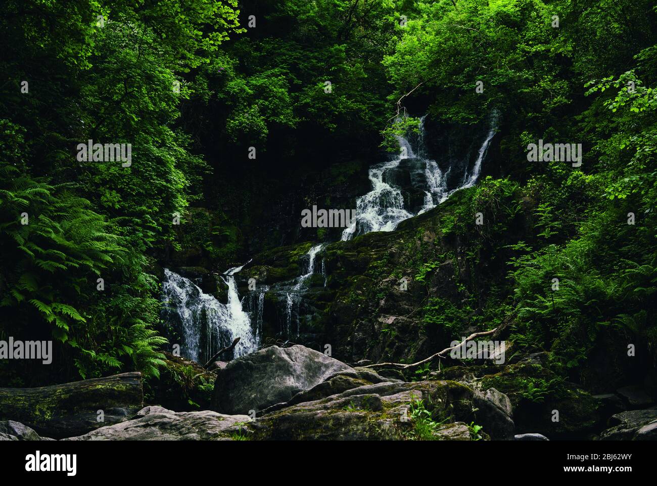 Cascata nella Foresta Irlandese nel Ring of Kerry Foto Stock