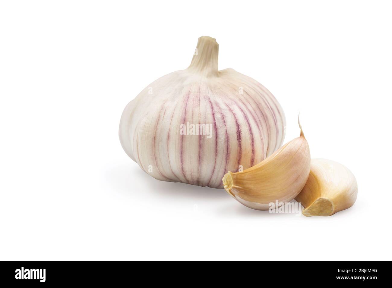 Aglio intero e spicchi d'aglio crudi organici su fondo bianco isolato con percorso di taglio. Erbe aromatiche o spezie popolari per la cucina e la cucina Foto Stock