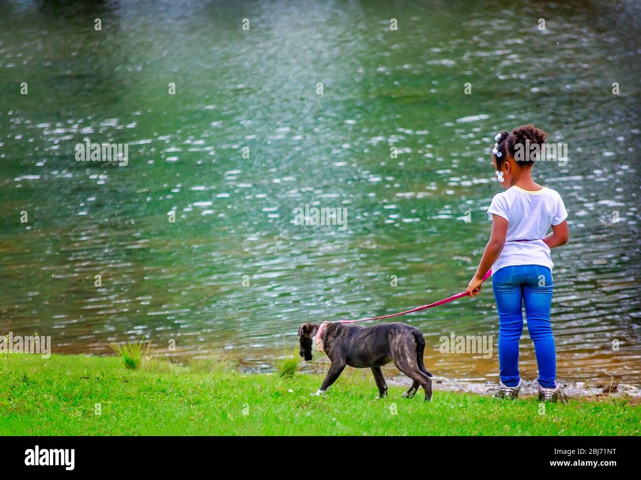 Una ragazza cammina il suo brindle pitbull terrier cucciolo presso il lago a Langan Park, 13 aprile 2019, in Mobile, Alabama. Foto Stock
