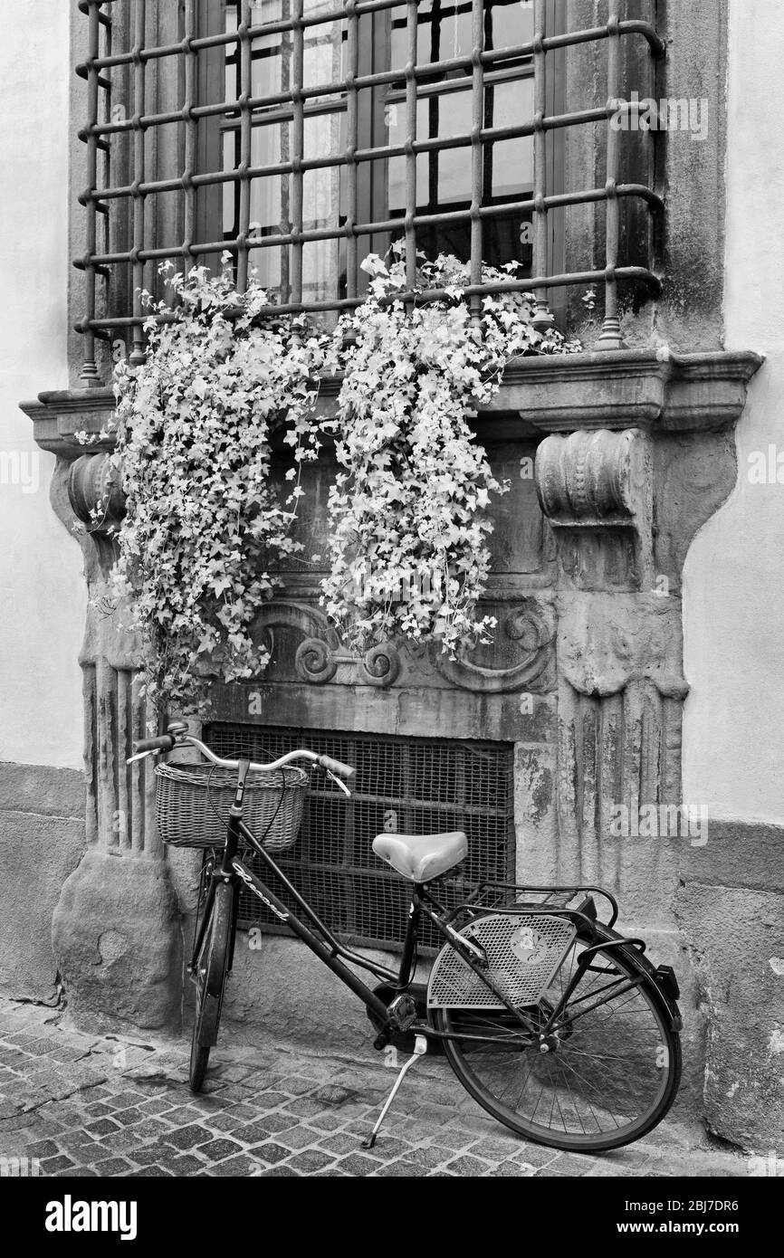 Bicicletta, Via Paolini, Lucca, Toscana, Italia, Europa Foto Stock