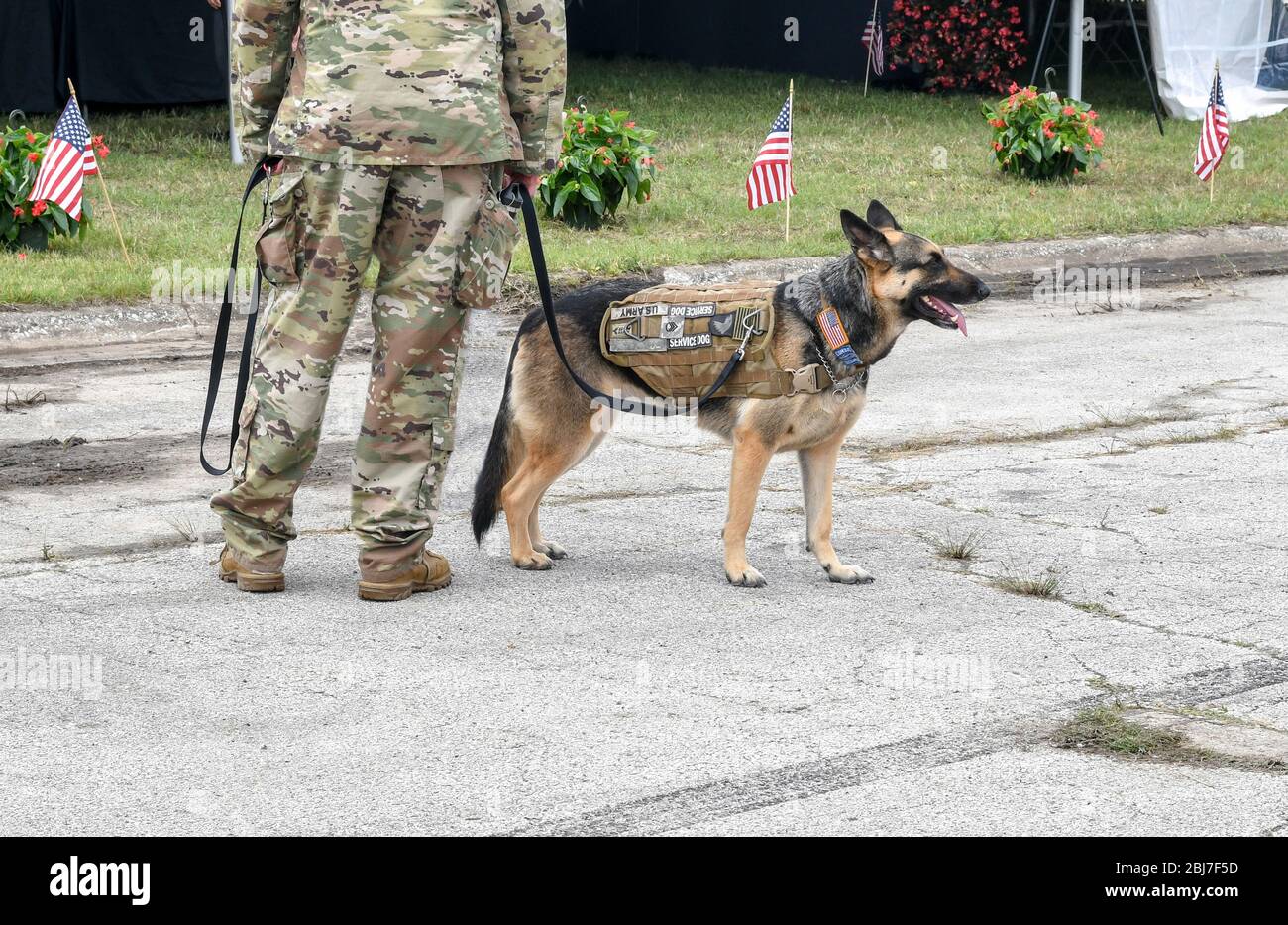 Un soldato che accompagna la sua militari cane al guinzaglio, sia l'uomo e l'animale in uniforme durante un evento Foto Stock