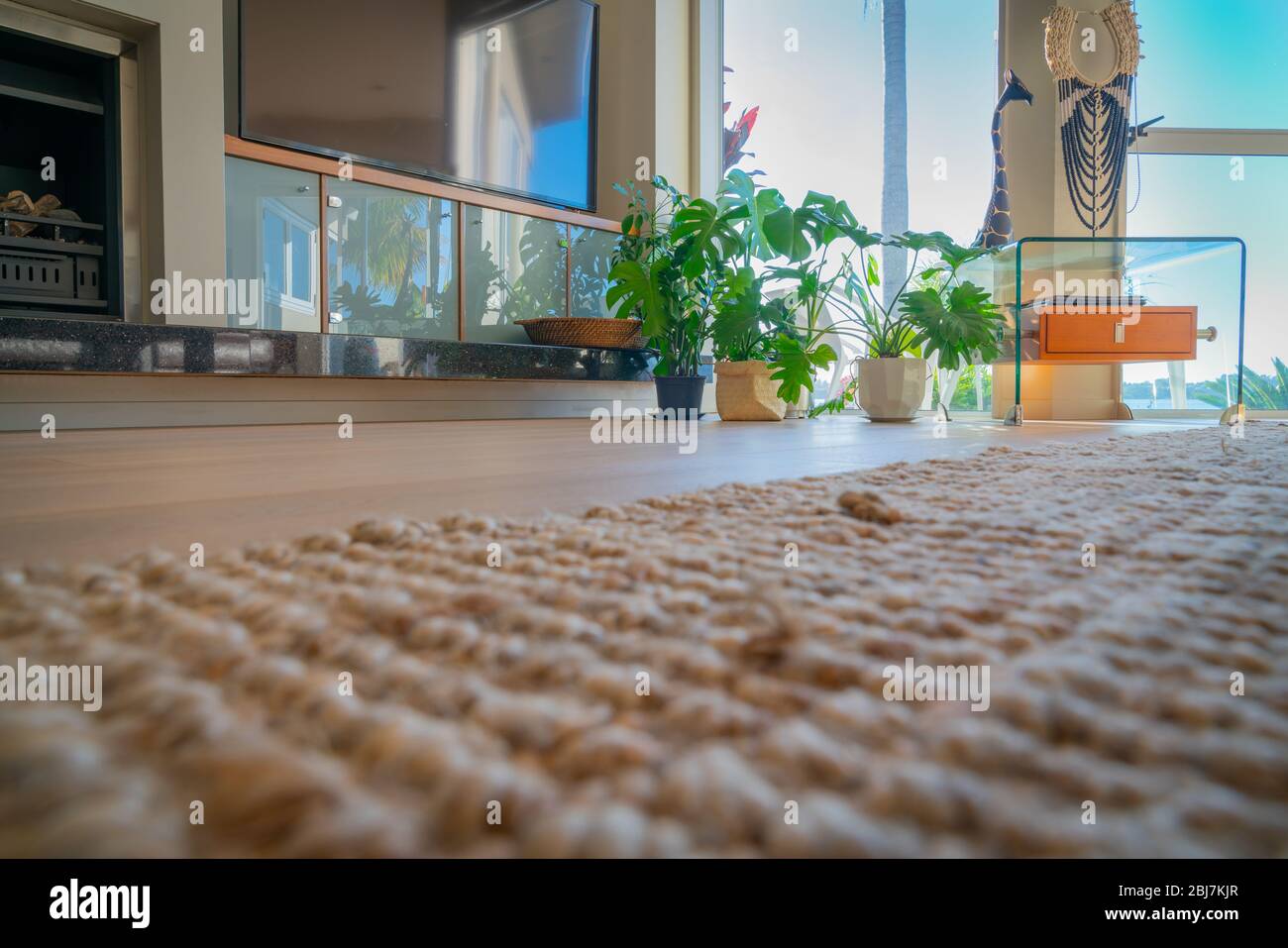 Vista a livello del pavimento della home lounge con armadietti, tavolo e piante moderne in vaso verde retroilluminate dalla luce del giorno attraverso la finestra. Foto Stock